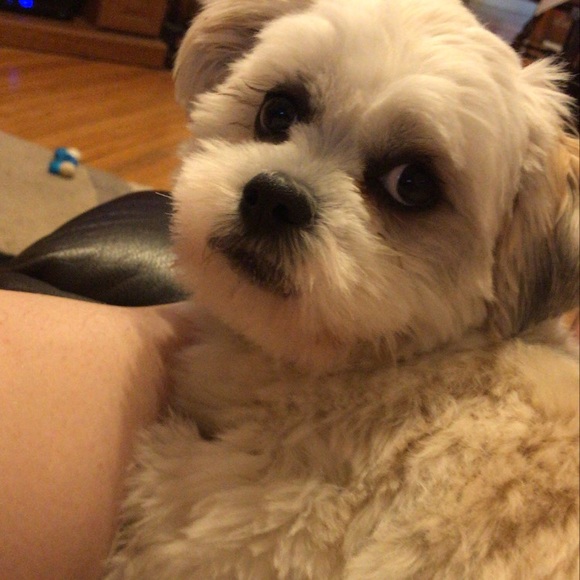 Meet your Posher, Julie - Picture 5 of 5